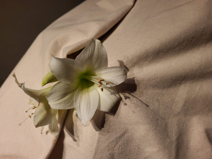 Wade met baar of mand